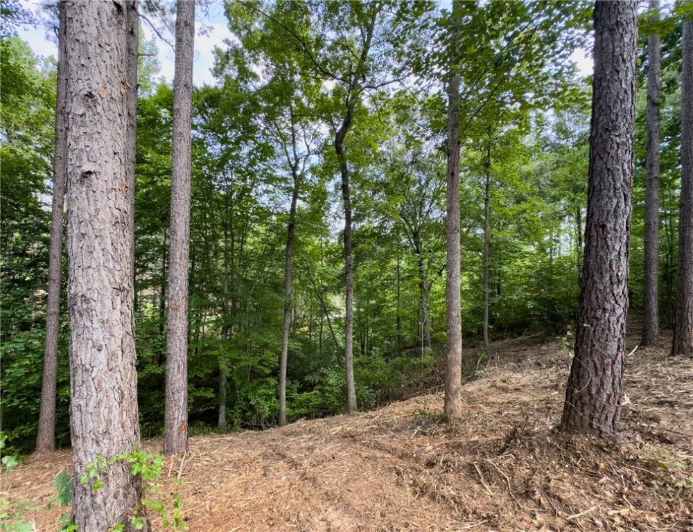 West Union, South Carolina 29696, United States, ,Land,Active,166977