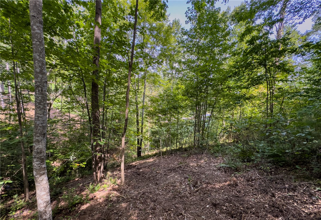 West Union, South Carolina 29696, United States, ,Land,Active,166977