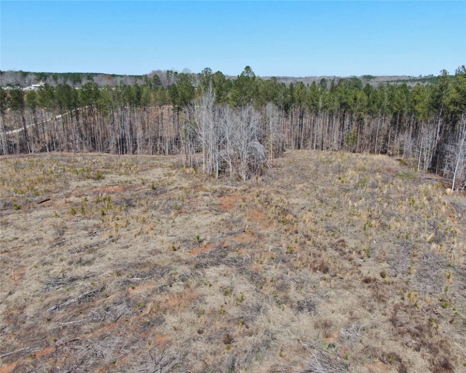 00 Elledge Road, Ware Shoals, South Carolina image 16