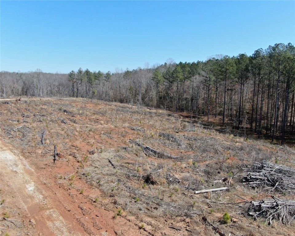 00 Elledge Road, Ware Shoals, South Carolina image 21