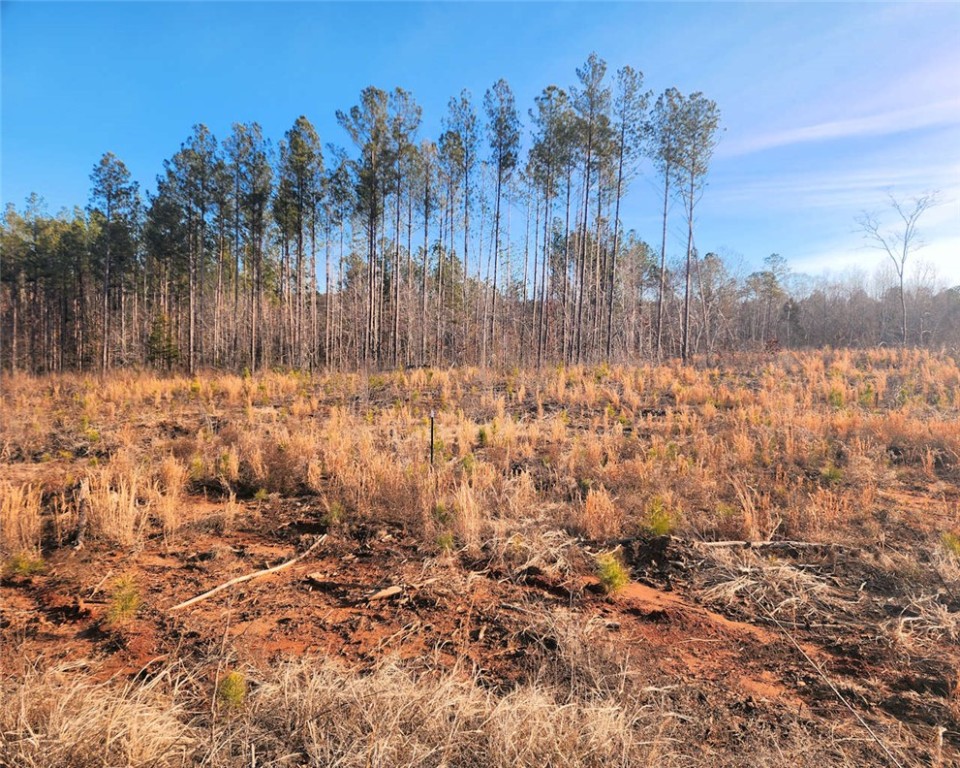 00 Elledge Road, Ware Shoals, South Carolina image 8