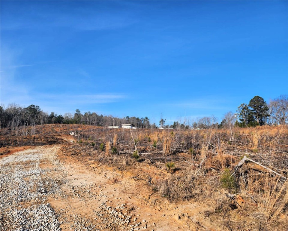 00 Elledge Road, Ware Shoals, South Carolina image 3