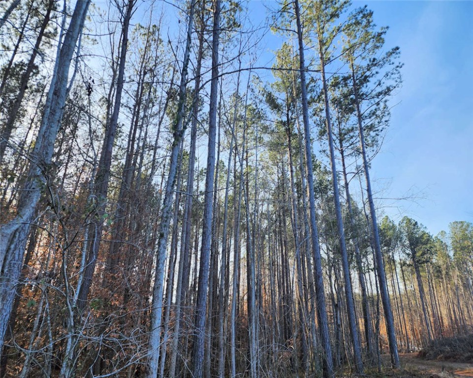 00 Elledge Road, Ware Shoals, South Carolina image 11