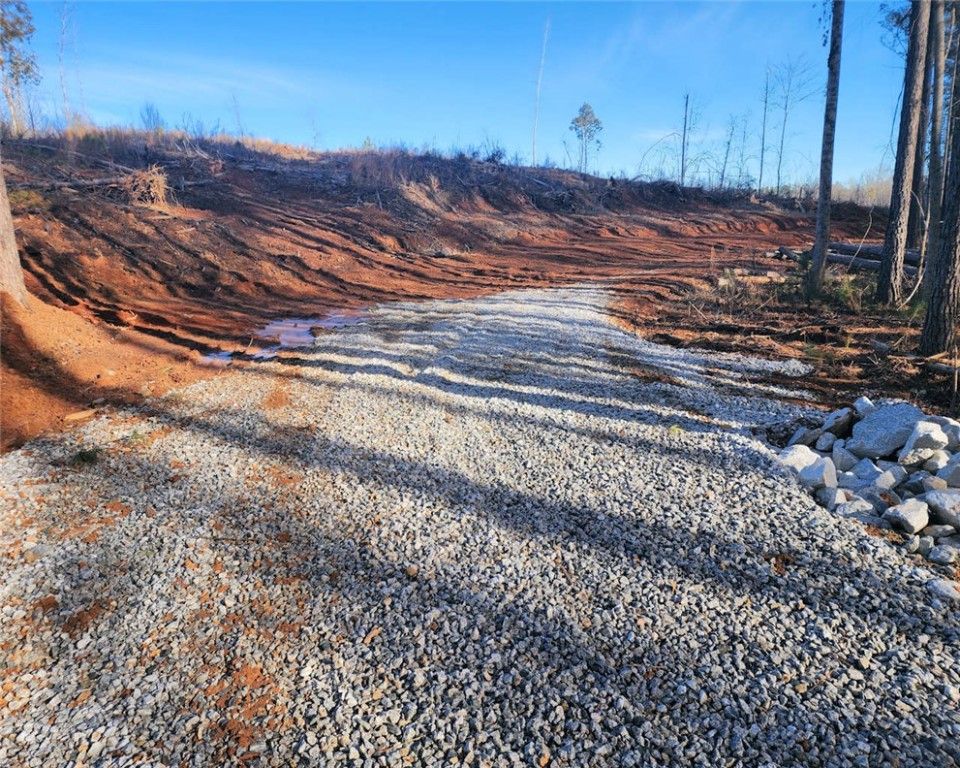 00 Elledge Road, Ware Shoals, South Carolina image 10