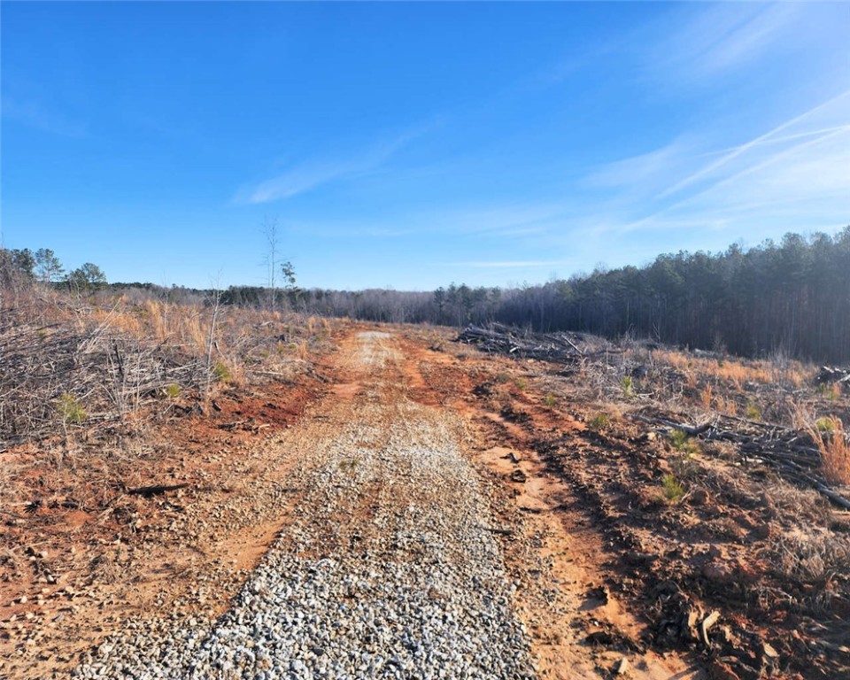 00 Elledge Road, Ware Shoals, South Carolina image 2