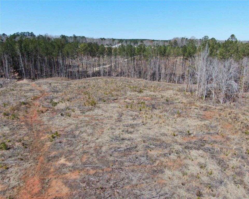 00 Elledge Road, Ware Shoals, South Carolina image 15