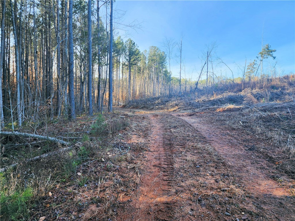 00 Elledge Road, Ware Shoals, South Carolina image 12
