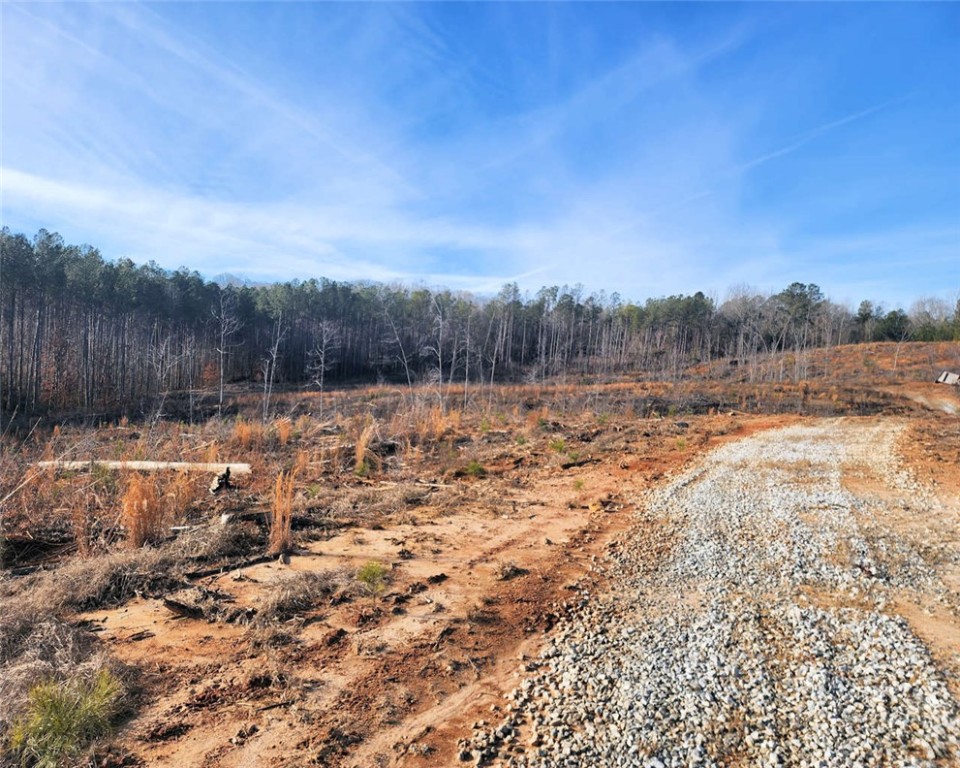00 Elledge Road, Ware Shoals, South Carolina image 5