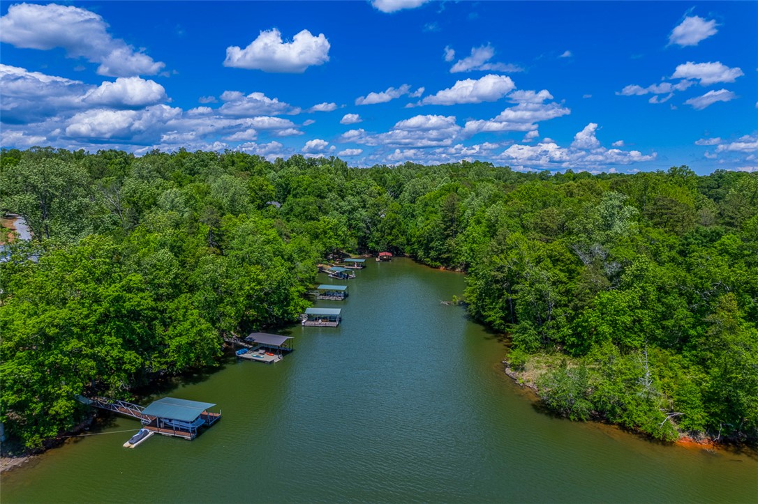 290 Coves End Point, Seneca, South Carolina image 48