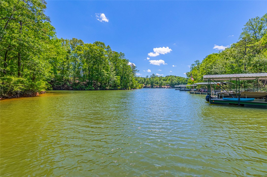 290 Coves End Point, Seneca, South Carolina image 46