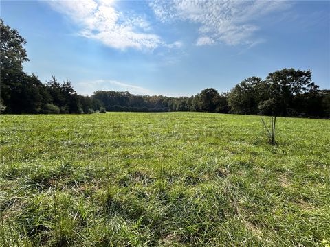 Vacant Land For Sale - 00 Williams Road<br/> Pelzer, SC 29669