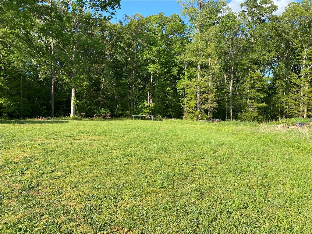 109 Beauregard Drive, Honea Path, South Carolina image 40