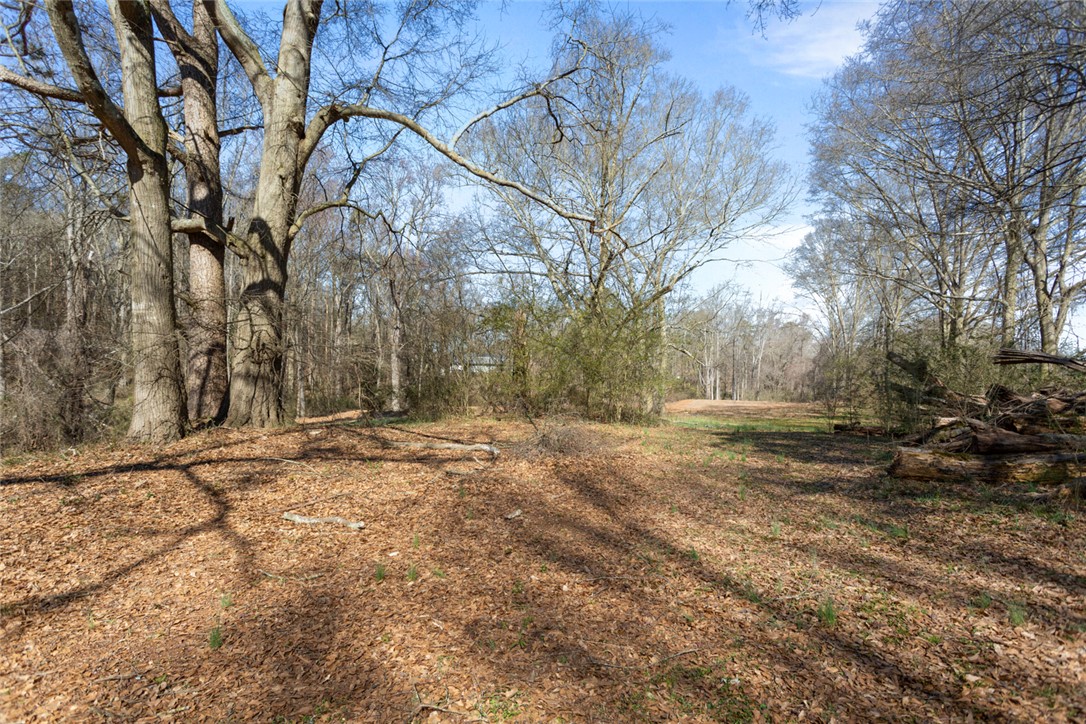 8.62 Acres S Hwy 11, Westminster, South Carolina image 5