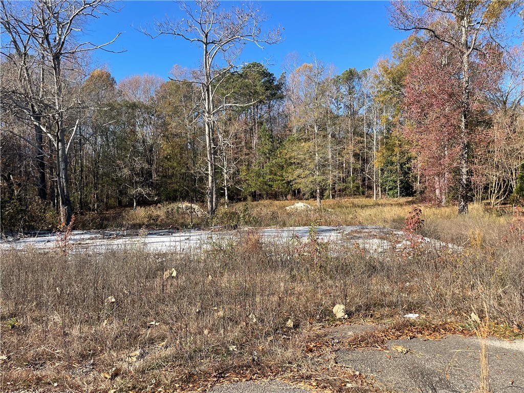1207 Anderson Street, Belton, South Carolina image 7