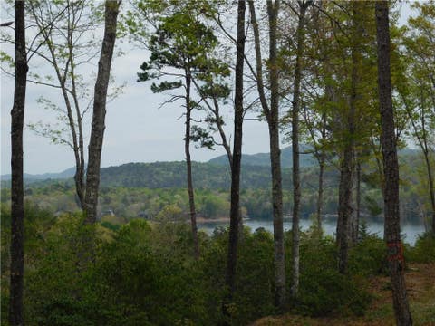Vacant Land For Sale - LOT 2 Old Chapman Bridge Road<br/> Salem, SC 29676