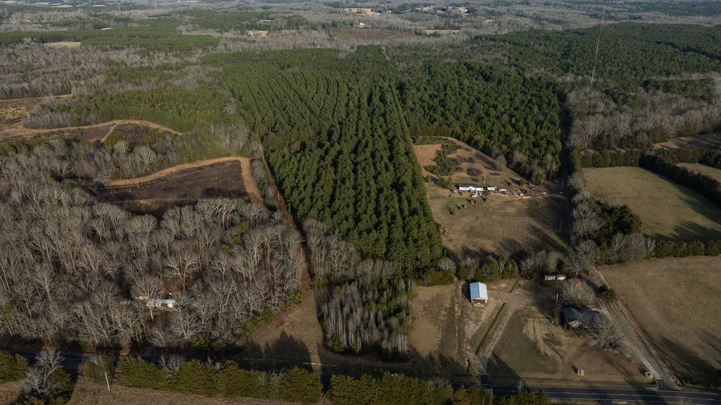 Hwy 20, Abbeville, South Carolina image 11