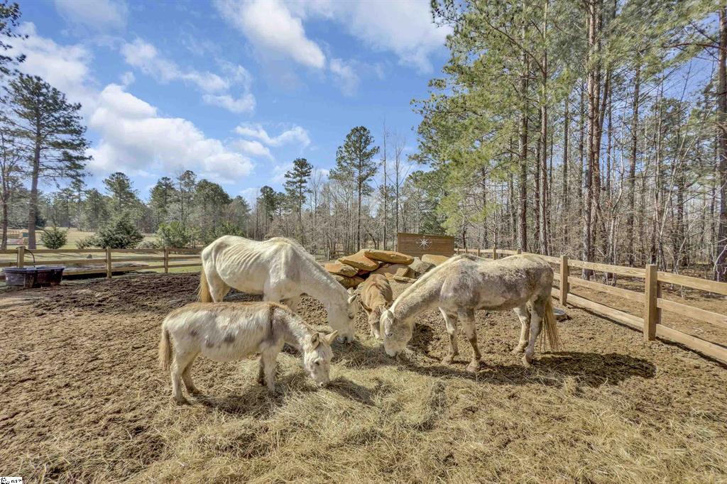 1641 Stewart Dairy Road, Gray Court, South Carolina image 23