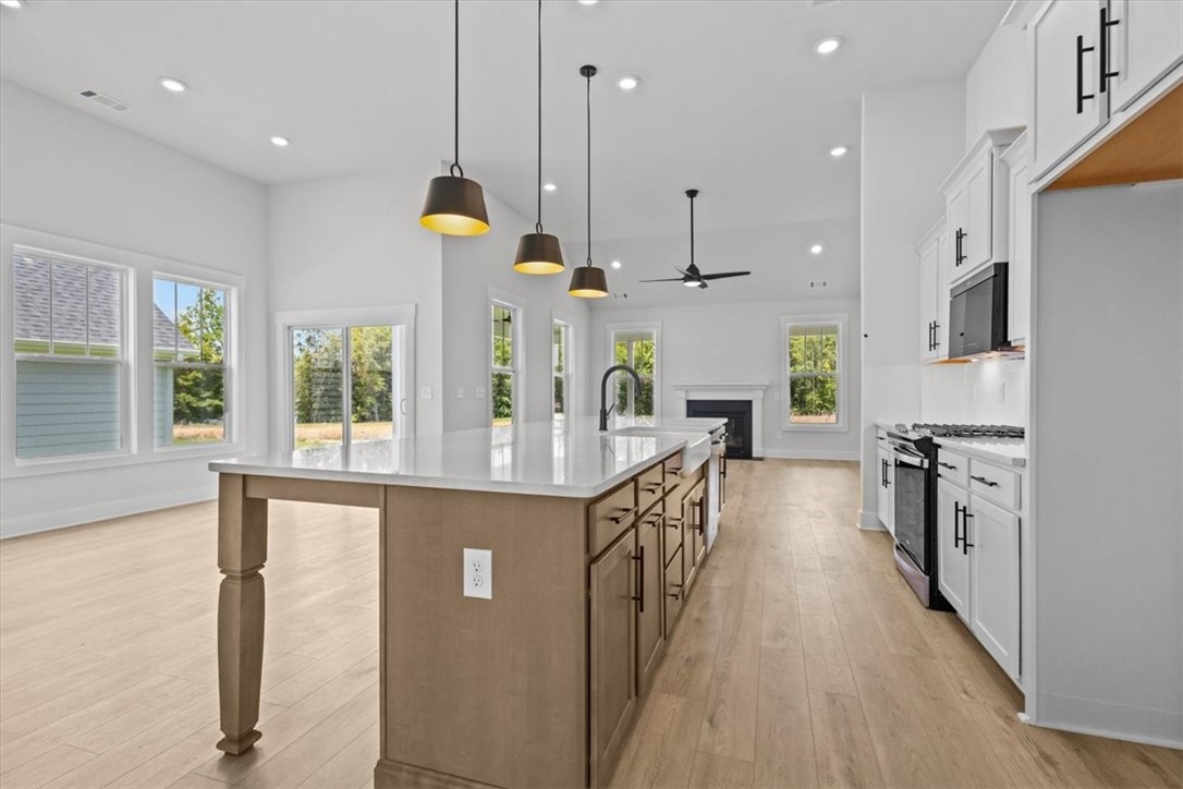 611 Wh Kay Lane, Anderson, South Carolina image 11