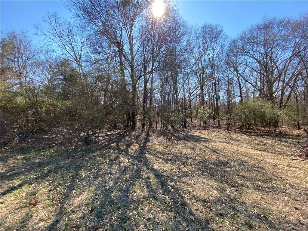Lot 4 Majestic Shores Road, Hartwell, Georgia image 2