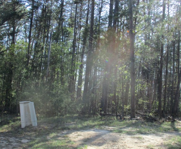259 Jocassee Ridge Way, Salem, South Carolina image 5