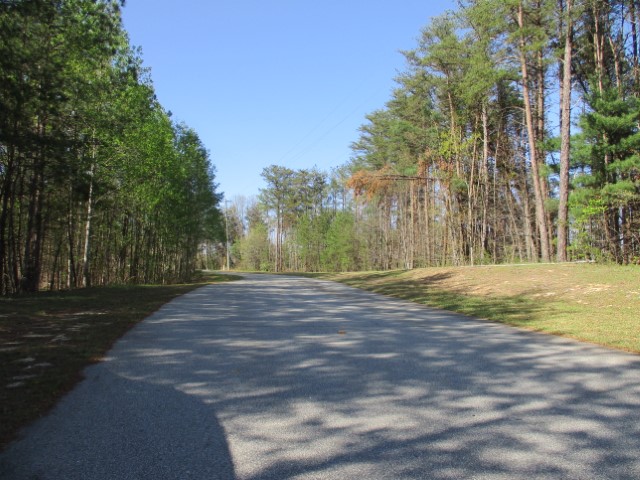 259 Jocassee Ridge Way, Salem, South Carolina image 7