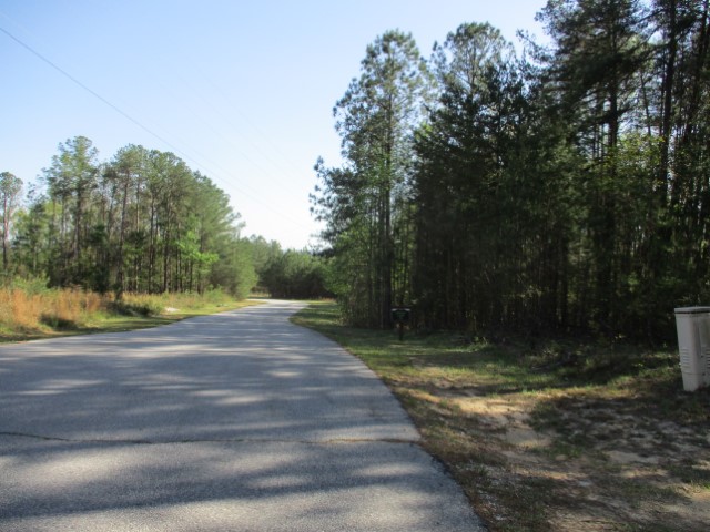259 Jocassee Ridge Way, Salem, South Carolina image 6