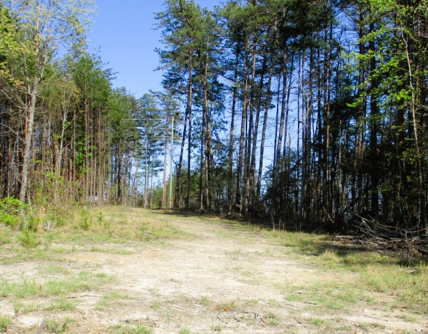 259 Jocassee Ridge Way, Salem, South Carolina image 15