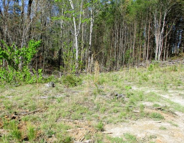 259 Jocassee Ridge Way, Salem, South Carolina image 16