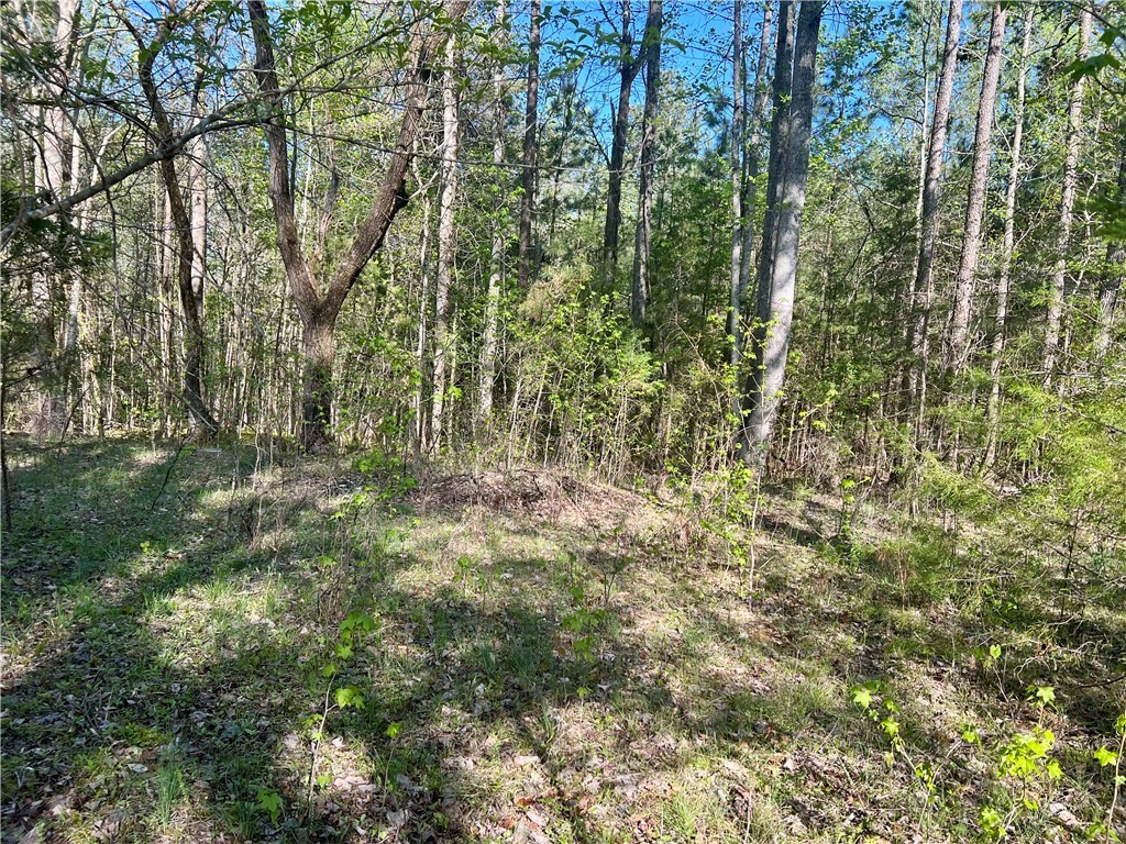 00 Hwy 11 Drive, Walhalla, South Carolina image 9