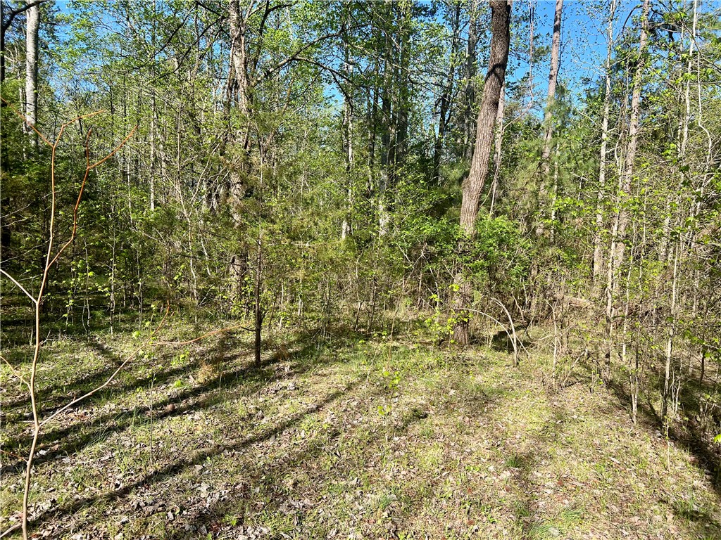 00 Hwy 11 Drive, Walhalla, South Carolina image 11