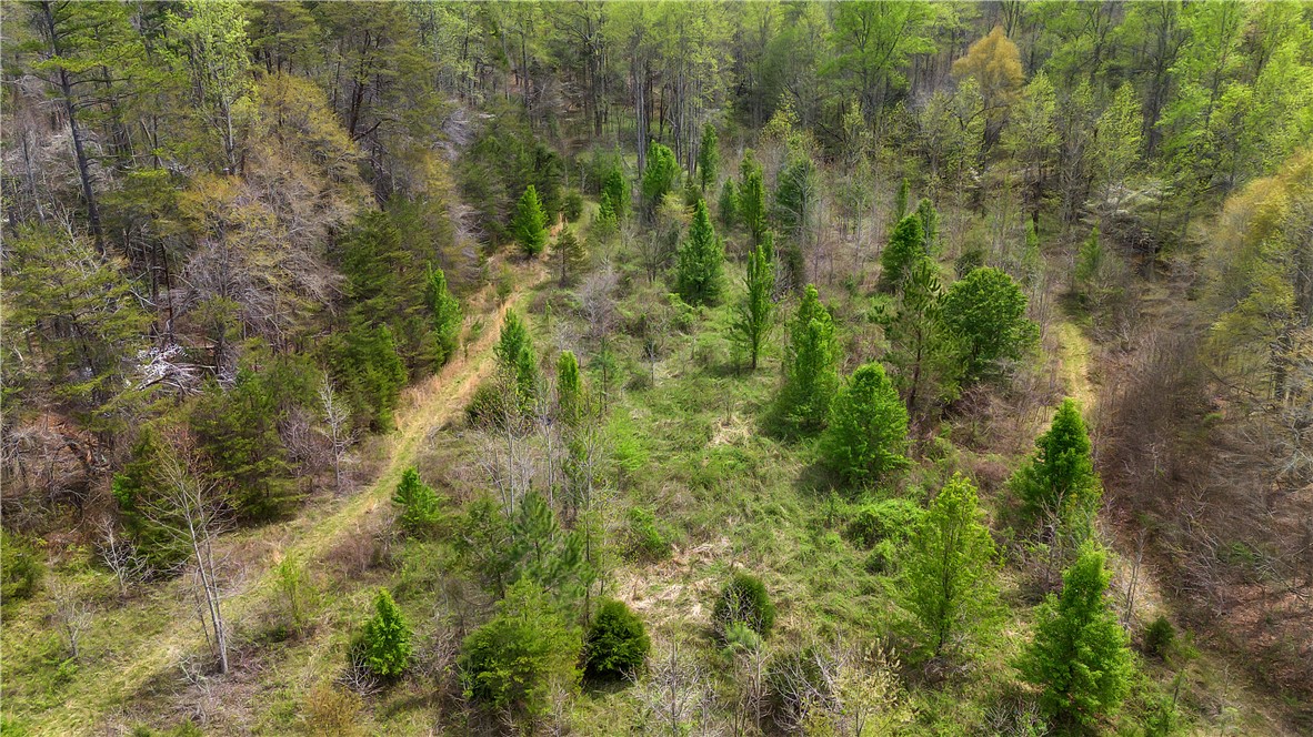 155 Cherokee Trail, Easley, South Carolina image 45
