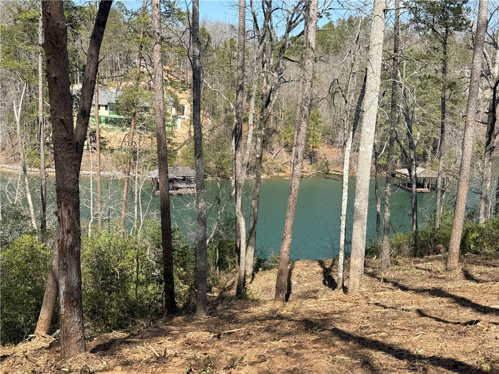116 Stillwater Court, Sunset, South Carolina image 2