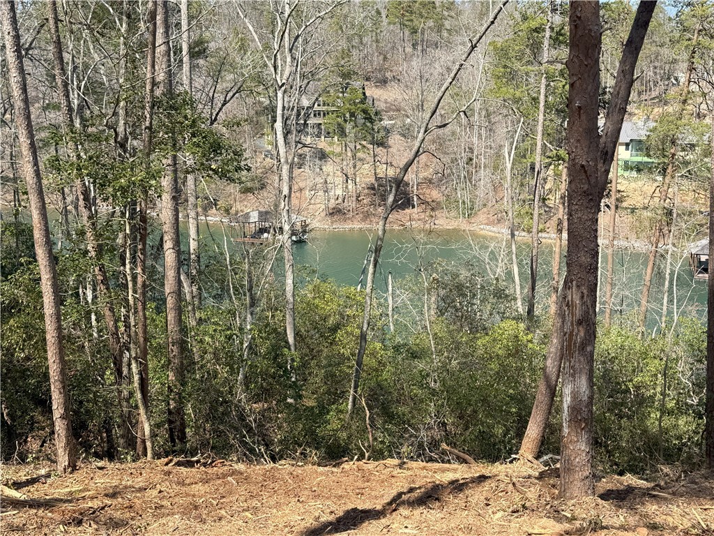 116 Stillwater Court, Sunset, South Carolina image 6
