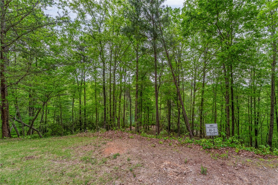 116 Stillwater Court, Sunset, South Carolina image 10