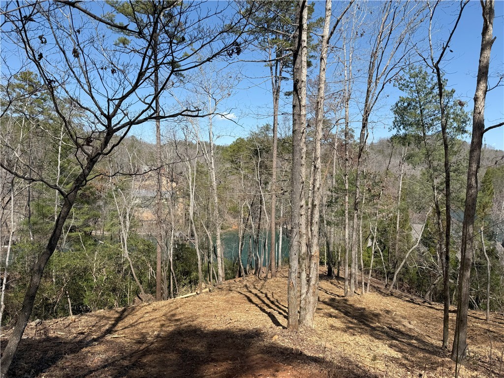 116 Stillwater Court, Sunset, South Carolina image 3