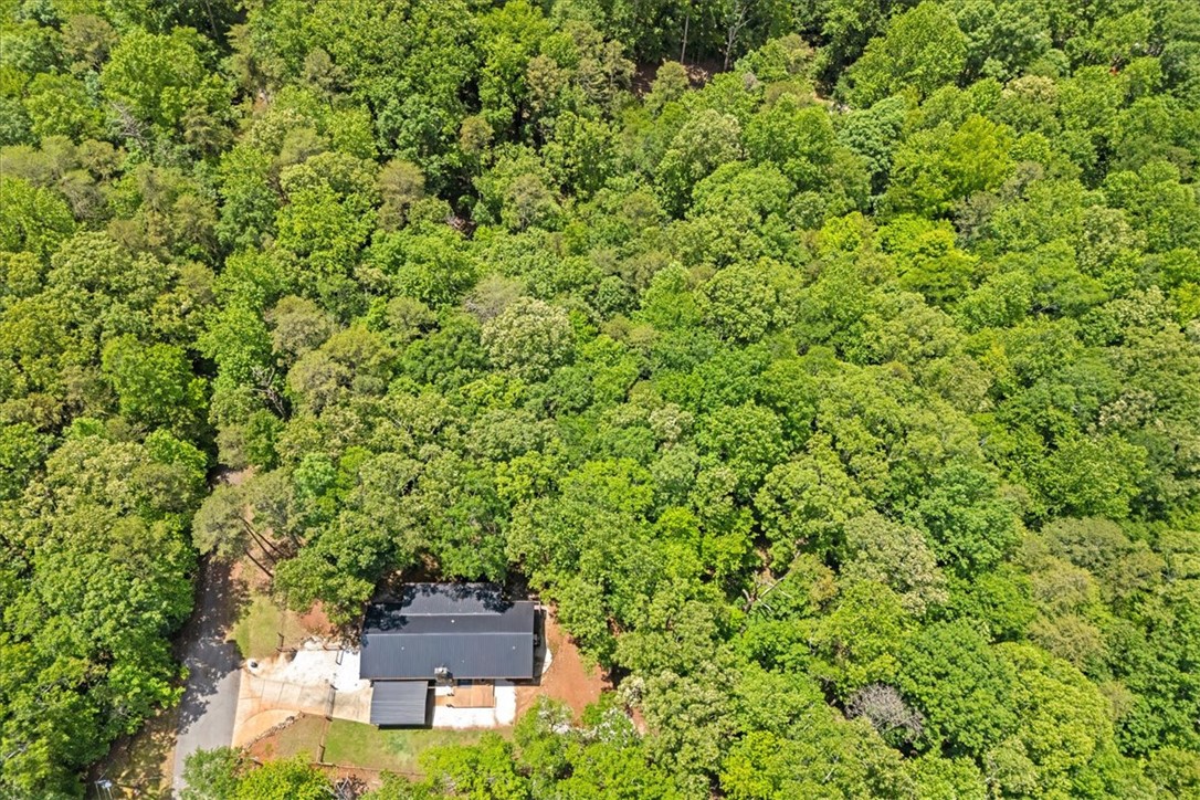 119 Deerwood Dr. Drive, Westminster, South Carolina image 45