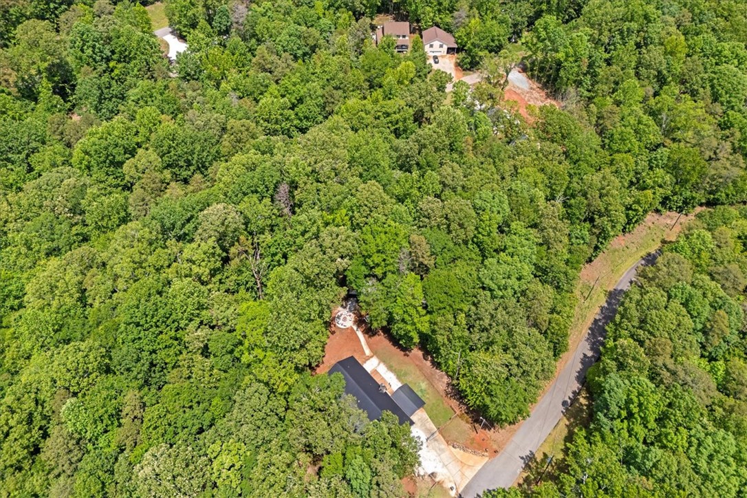 119 Deerwood Dr. Drive, Westminster, South Carolina image 46