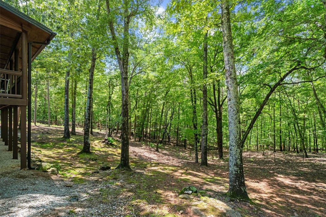 119 Deerwood Dr. Drive, Westminster, South Carolina image 10