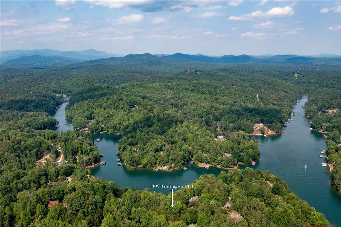 309 Trottingwolf Trail, Sunset, South Carolina image 16