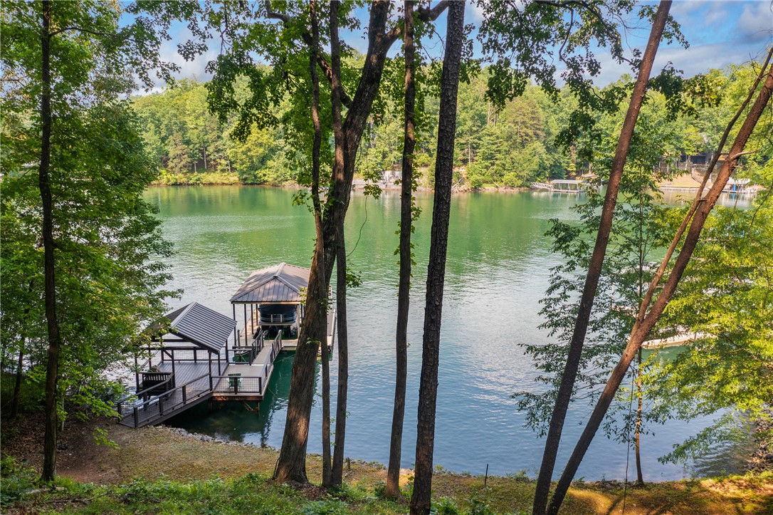 309 Trottingwolf Trail, Sunset, South Carolina image 1