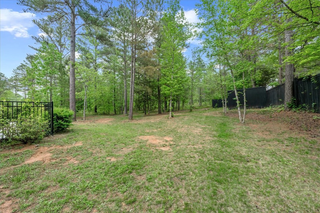 102 Jameson Drive, Liberty, South Carolina image 10