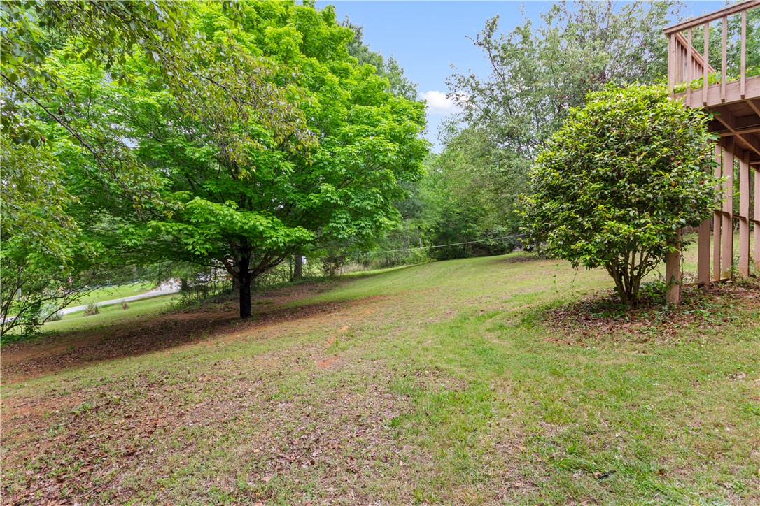 1121 Ireland Road, Pickens, South Carolina image 41
