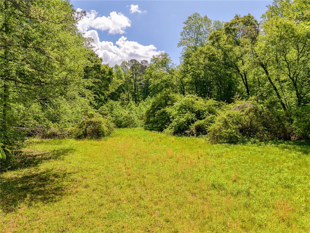 698 Mount Bethel Road, Sunset, South Carolina image 39