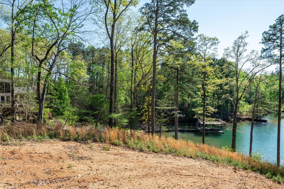 125 Kelley Ridge Road, Seneca, South Carolina image 8