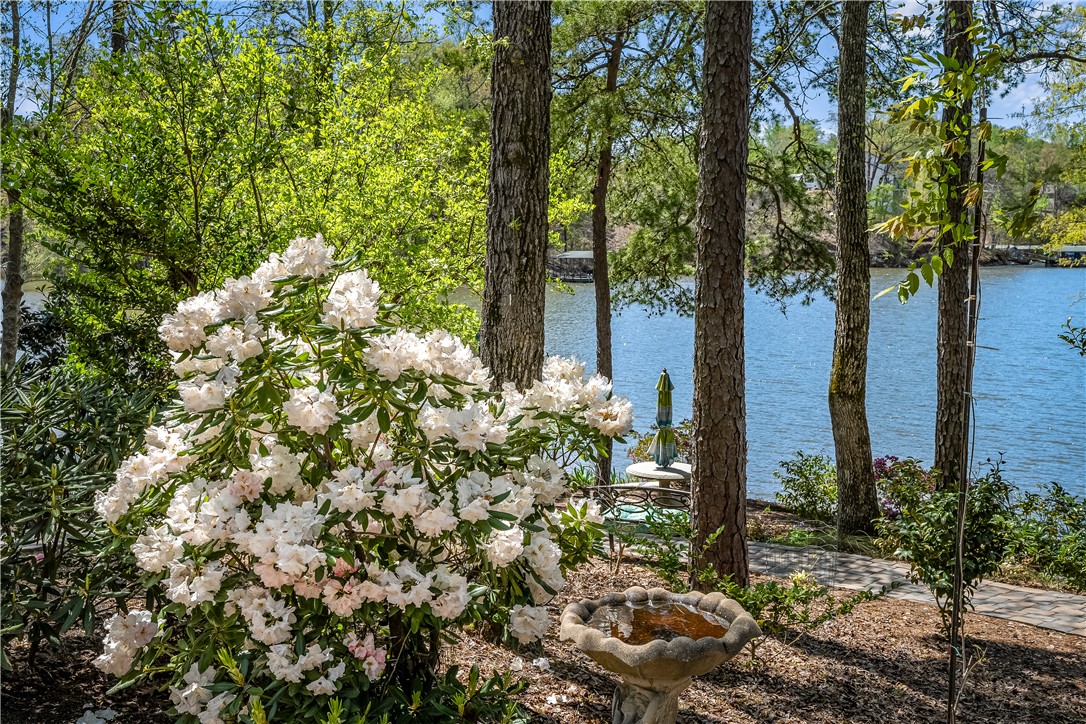 246 E Waters Edge Lane, West Union, South Carolina image 44
