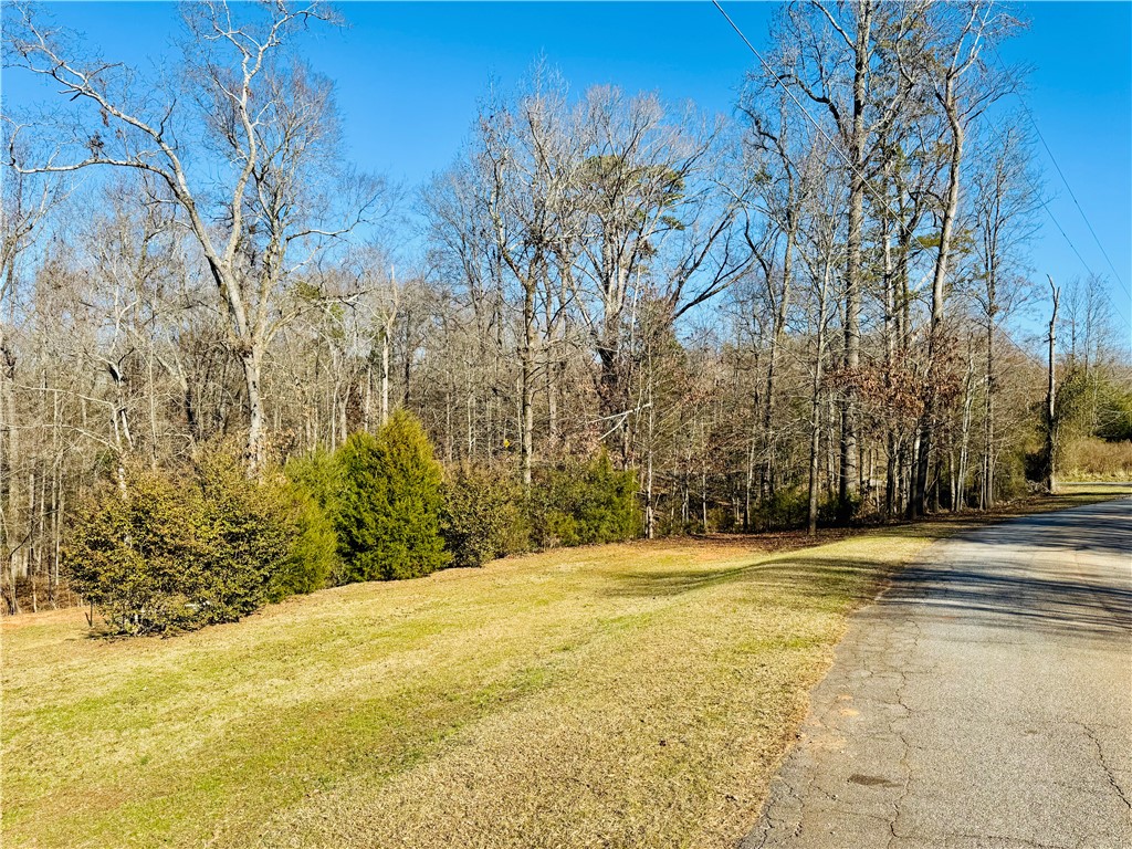 100 Gilmer Circle, Anderson, South Carolina image 6