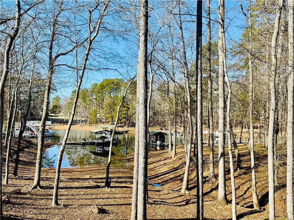 100 Gilmer Circle, Anderson, South Carolina image 8