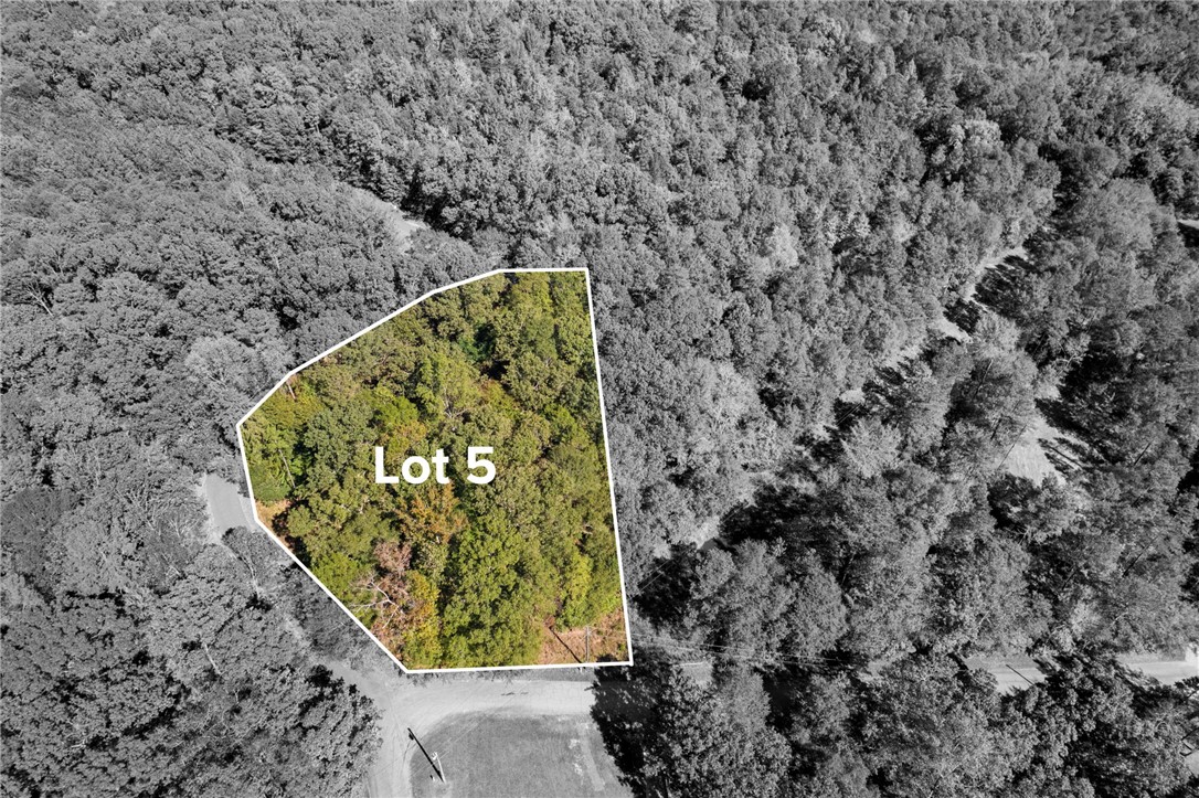 Lots 4 & 5 Camp Creek Road #LOTS 4  5, Townville, South Carolina image 3