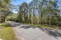 Lots 4 & 5 Camp Creek Road #LOTS 4  5, Townville, South Carolina image 6