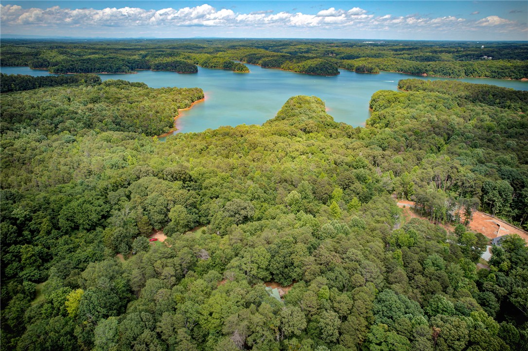 Lots 4 & 5 Camp Creek Road #LOTS 4  5, Townville, South Carolina image 5
